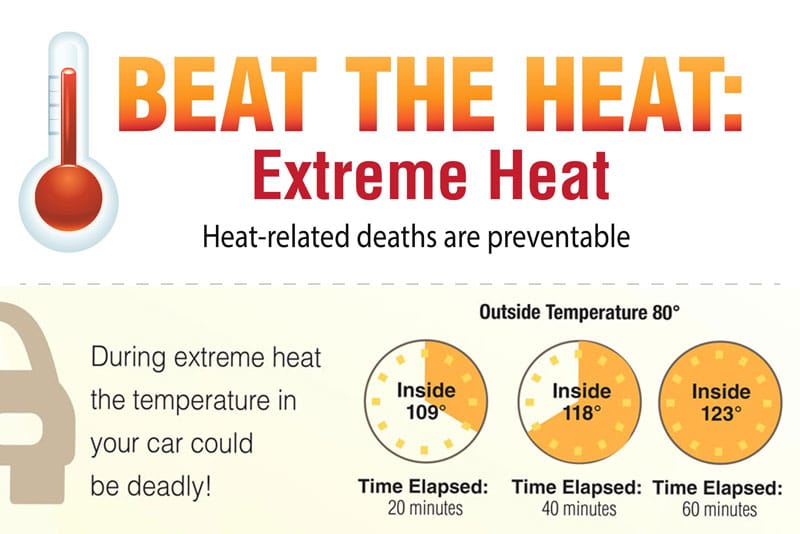 Learn How to Beat the Heat