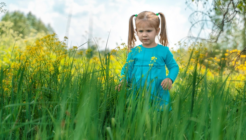 Tick Awareness: What You Need to Know