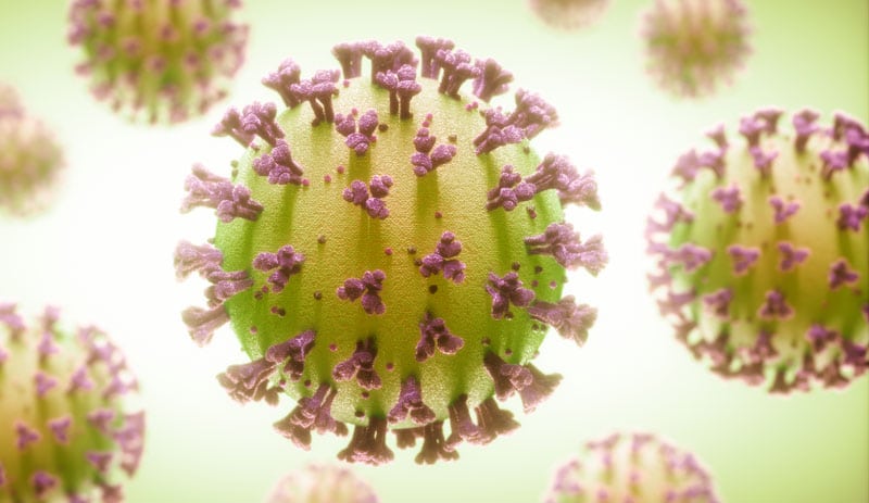 COVID 19 Virus COVID 19 Virus